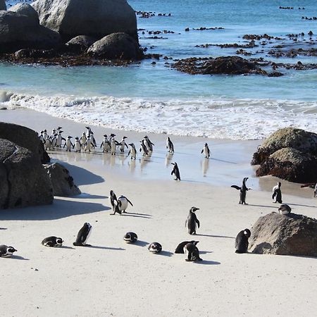 Boulders Beach House Simonʼs Town Exterior foto